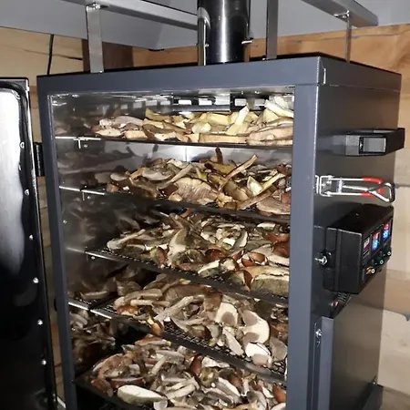 Nad Jeziorem W Borach Tucholskich Skorzenno