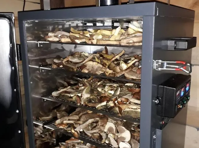 Nad Jeziorem W Borach Tucholskich Skorzenno