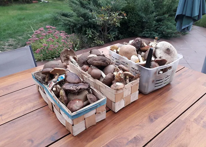 Nad Jeziorem W Borach Tucholskich *